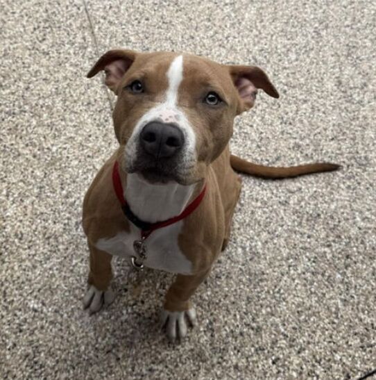 Person meditating outdoors